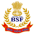 bsf
